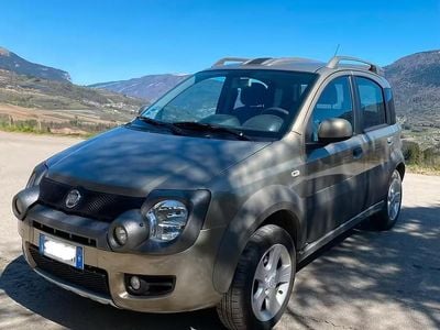 Usata Fiat Panda 4x4 Cross 2010 Utilitaria