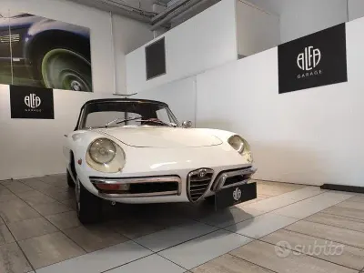 Usata Alfa Romeo Spider Veloce 1960 Bianco
