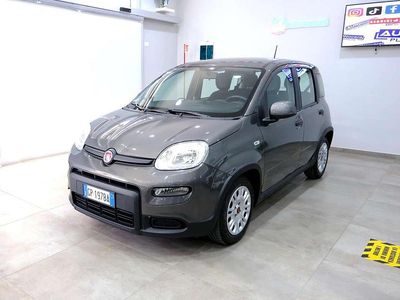 Usata Fiat Panda City Life 69 CV (50 kW) 2023 Nero Utilitaria