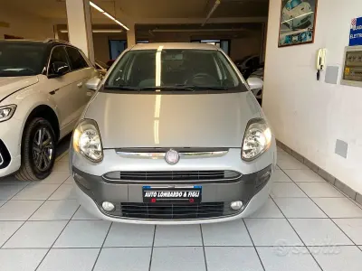 Usata Fiat Punto Evo Active 75 CV (55 kW) 2010 Grigio Utilitaria