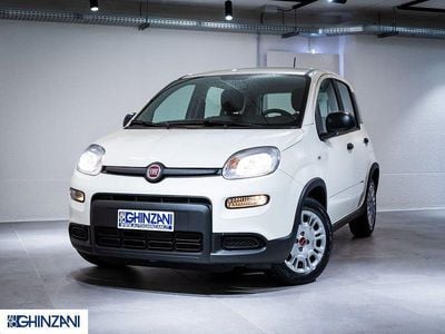 Bianco gelato Usata 2024 Fiat Panda S Utilitaria | 13.500 € (Buon prezzo)