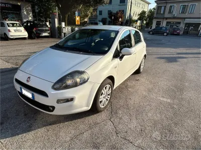 Usata Fiat Punto Easy 77 CV (56 kW) 2014 Bianco Utilitaria