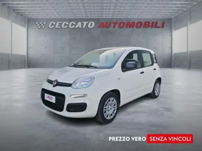 Nuova Fiat Panda Icon 65 CV (47 kW) 2026 Bianco Utilitaria