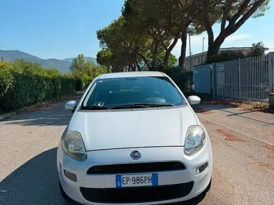 Usata Fiat Punto Evo 77 CV (56 kW) 2013 Grigio Utilitaria