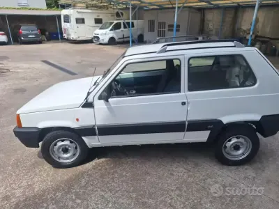 Usata Fiat Panda 4x4 54 CV (39 kW) 2002 Bianco Utilitaria