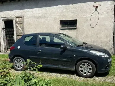 Usata Peugeot 206