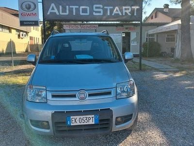 Begagnad Fiat Panda Trekking 69 HK (50 kW) 2011 Grå Halvkombi
