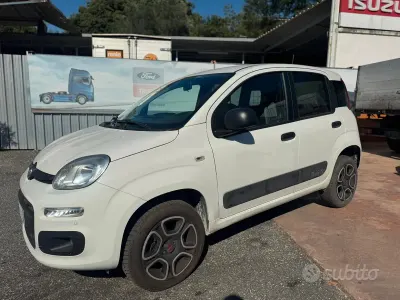 Usata Fiat Panda 4x4 Pop 84 CV (61 kW) 2021 Bianco Utilitaria