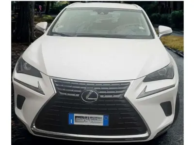 Usata Lexus NX300h