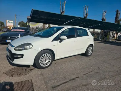 Usata Fiat Punto Evo Active 69 CV (50 kW) 2011 Bianco Utilitaria