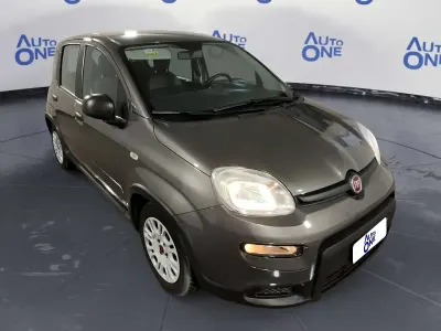 Usata Fiat Panda
