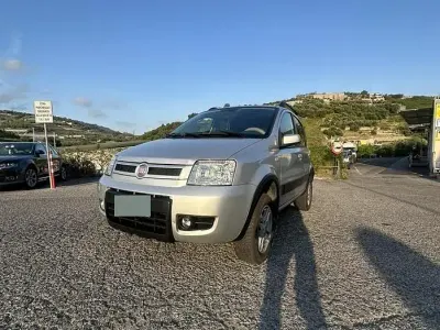 Usata Fiat Panda 4x4 69 CV (50 kW) 2010 Grigio Utilitaria