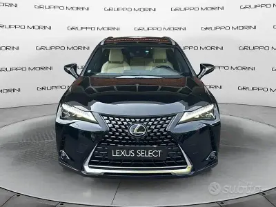Usata Lexus UX Luxury Line 2019 SUV