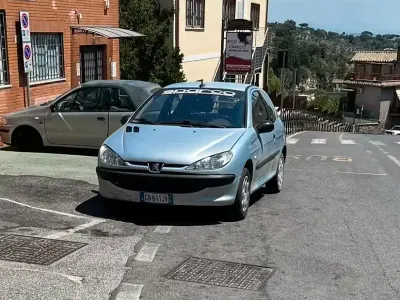 Usata Peugeot 206