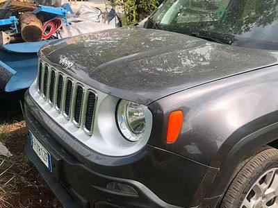 Usata Jeep Renegade 2018 SUV