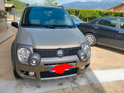 Usata Fiat Panda 4x4 Cross 2006 Verde Utilitaria