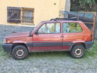 Usata Fiat Panda 4x4