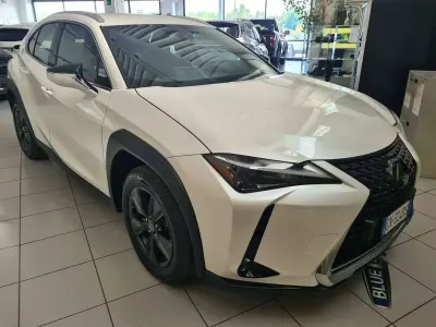 Usata Lexus UX 250h