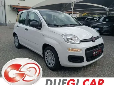 Nuova Fiat Panda Icon 69 CV (50 kW) 2026 Bianco Utilitaria