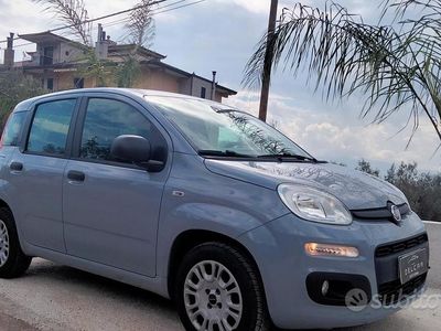 Usata Fiat Panda Easy 69 CV (50 kW) 2018 Grigio Utilitaria