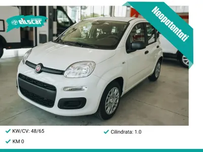 Nuova Fiat Panda Icon 65 CV (47 kW) 2025 Bianco Utilitaria
