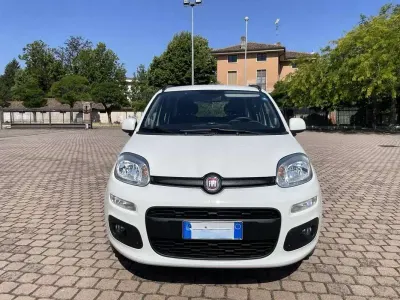 Usata Fiat Panda Easy 69 CV (50 kW) 2019 Bianco Utilitaria