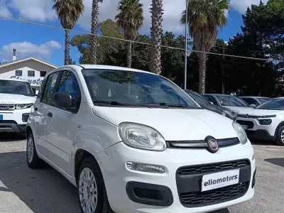 Usata Fiat Panda Easy 69 CV (50 kW) 2020 Bianco Utilitaria