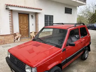 Usata Fiat Panda 4x4 Trekking 60 CV (44 kW) 1993 Utilitaria