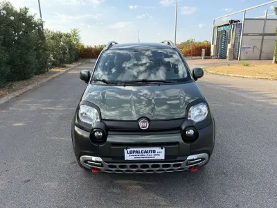 Usata Fiat Panda Cross Cross 95 CV (69 kW) 2016 Verde Utilitaria