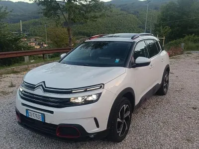 Usata Citroën C5 Shine 131 CV (96 kW) 2021 Bianco Station wagon
