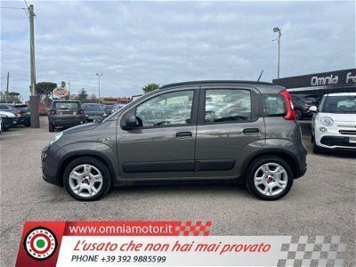 usata Fiat Panda 1.0 FireFly S&S Hybrid City Life usato