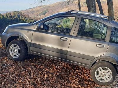 Usata Fiat Panda 4x4 69 CV (50 kW) 2010 Grigio Utilitaria