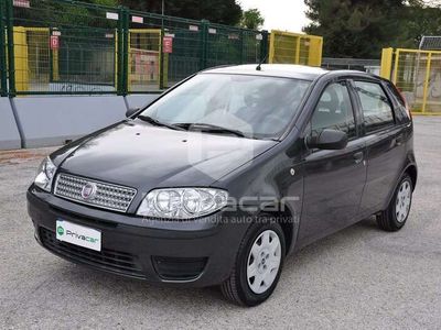 usata Fiat Punto Classic 1.2 5 porte Active