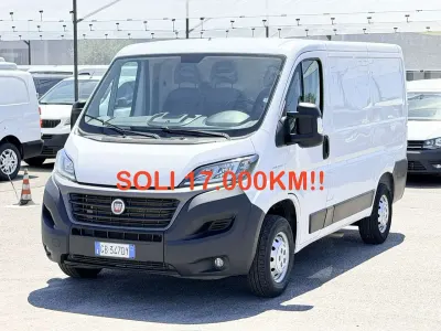 Usata Fiat Ducato