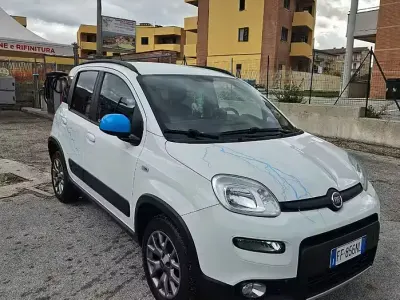 Usata Fiat Panda 4x4 95 CV (69 kW) 2017 Bianco Utilitaria