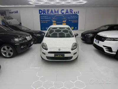 Usata Fiat Punto Lounge 69 CV (50 kW) 2014 Bianco Utilitaria