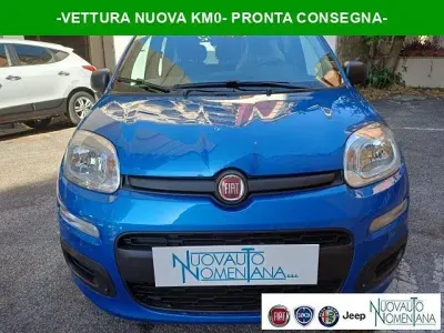 Usata Fiat Panda