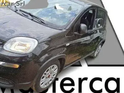 Usata Fiat Panda 69 CV (50 kW) 2023 Argento Utilitaria