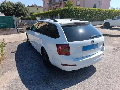Usata Skoda Octavia 110 CV (80 kW) 2016 Bianco Station wagon