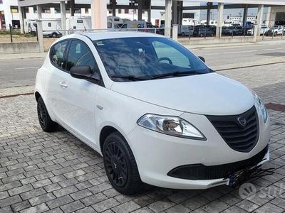 usata Lancia Ypsilon Ypsilon 1.2 69 CV 5 porte Elefantino