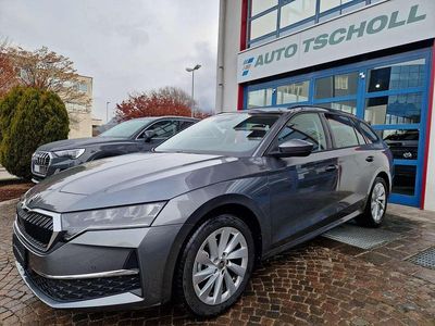 Usata Skoda Octavia Selection 150 CV (110 kW) 2024 Graphitegrau metallic Station wagon