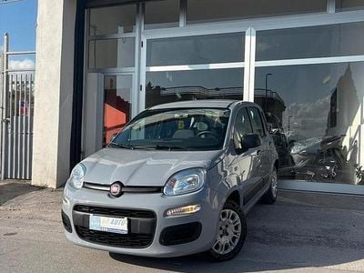 Usata Fiat Panda Easy 69 CV (50 kW) 2019 Grigio Utilitaria
