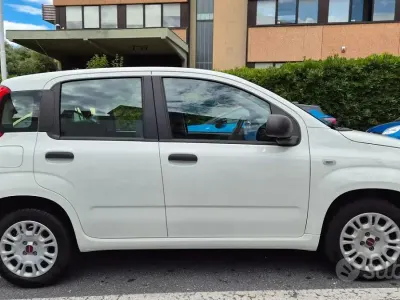 Usata Fiat Panda Easy 69 CV (50 kW) 2019 Bianco Utilitaria