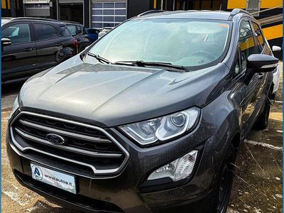 Usata Ford Ecosport Business Edition 100 CV (73 kW) 2018 Grigio SUV