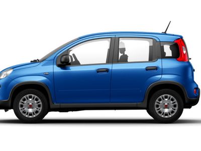 usata Fiat Panda 1.0 FireFly S&S Hybrid