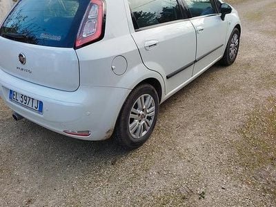 Usata Fiat Punto 95 CV (69 kW) 2013 Bianco Utilitaria