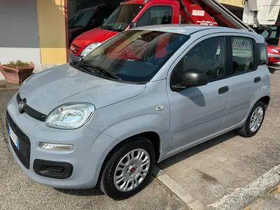 Usata Fiat Panda Easy 69 CV (50 kW) 2020 Grigio Utilitaria