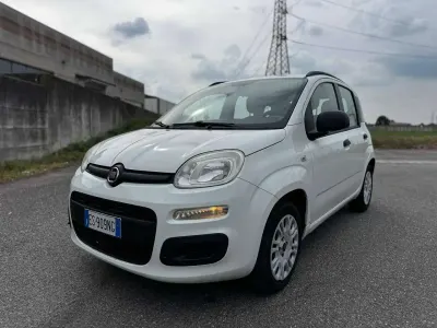 Usata Fiat Panda Lounge 75 CV (55 kW) 2013 Bianco Utilitaria