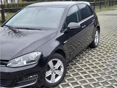 usata VW Golf VII Golf 1.4 TGI 5p. Highline BlueMotion