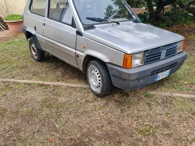 Usata Fiat Panda